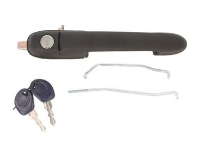 Exterior Door Handle BLIC 6010-07-017402PP
