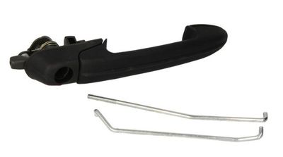 Exterior Door Handle BLIC 6010-07-019401P