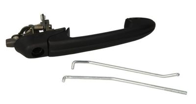 Exterior Door Handle BLIC 6010-07-019402P