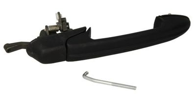 Exterior Door Handle BLIC 6010-07-019404P