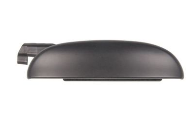 Exterior Door Handle BLIC 6010-07-028402P