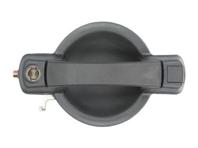 Exterior Door Handle BLIC 6010-07-029401P