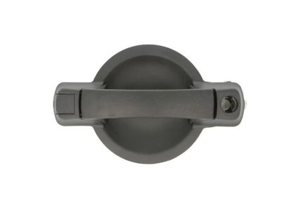 Exterior Door Handle BLIC 6010-07-029410LP
