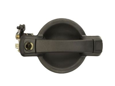 Exterior Door Handle BLIC 6010-07-029417P
