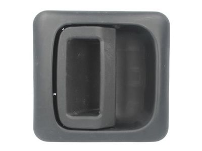 Exterior Door Handle BLIC 6010-07-031405P