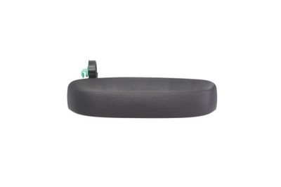 Exterior Door Handle BLIC 6010-07-033402P