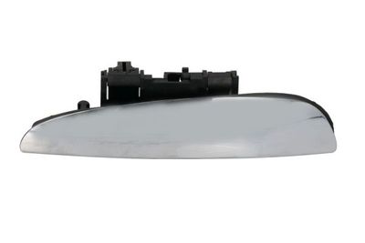 Exterior Door Handle BLIC 6010-07-035401P