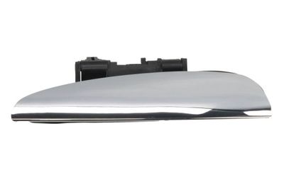 Exterior Door Handle BLIC 6010-07-035403P