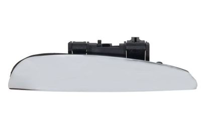 Exterior Door Handle BLIC 6010-07-035404P