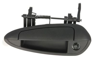 Exterior Door Handle BLIC 6010-07-036401P