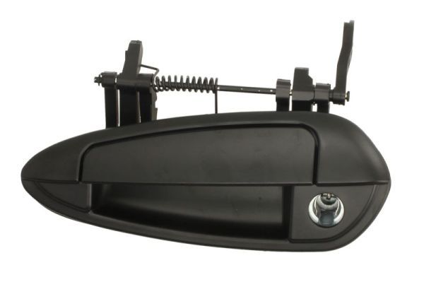 BLIC 6010-07-036401PP Exterior Door Handle