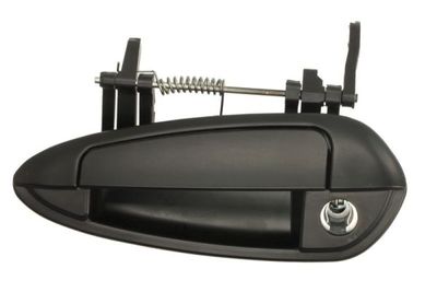 Exterior Door Handle BLIC 6010-07-036401PPK