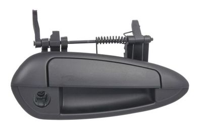 Exterior Door Handle BLIC 6010-07-036402P