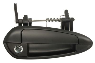 Exterior Door Handle BLIC 6010-07-036402PP