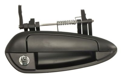 Exterior Door Handle BLIC 6010-07-036402PPK