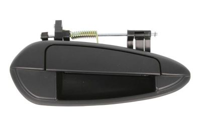 Exterior Door Handle BLIC 6010-07-036404P
