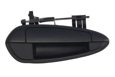 Exterior Door Handle BLIC 6010-07-036404PP