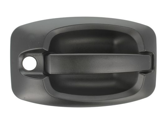 BLIC 6010-07-038401P Exterior Door Handle