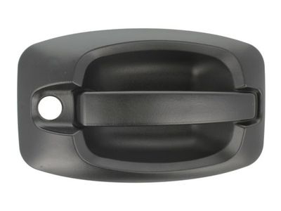 Exterior Door Handle BLIC 6010-07-038401P