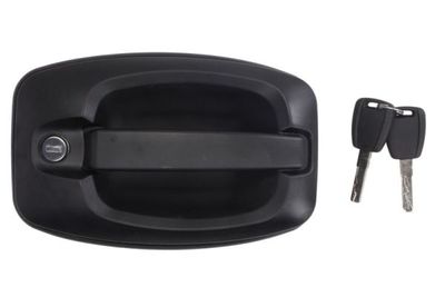 Exterior Door Handle BLIC 6010-07-038401PP