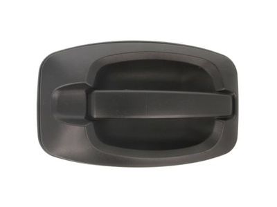 Exterior Door Handle BLIC 6010-07-038402P
