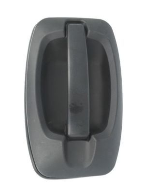 Exterior Door Handle BLIC 6010-07-038410P