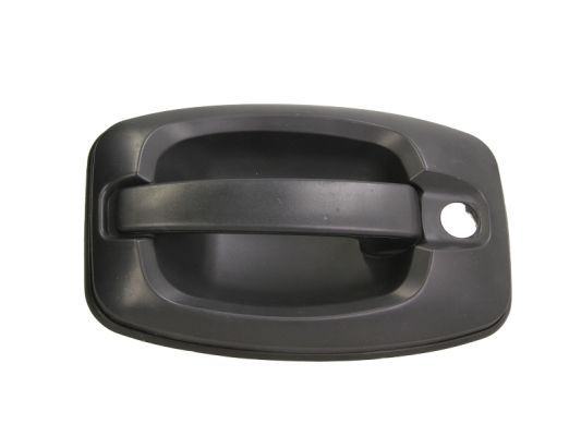 BLIC 6010-07-038417P Exterior Door Handle