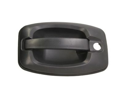 Exterior Door Handle BLIC 6010-07-038417P