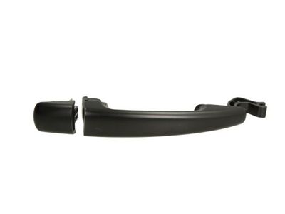 Exterior Door Handle BLIC 6010-07-039410P