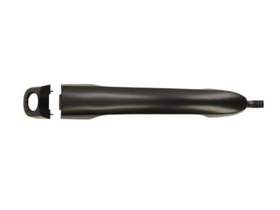 Exterior Door Handle BLIC 6010-07-040401P