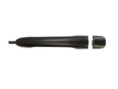 Exterior Door Handle BLIC 6010-07-040402P