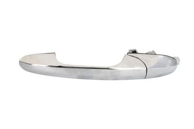 Exterior Door Handle BLIC 6010-07-041402P
