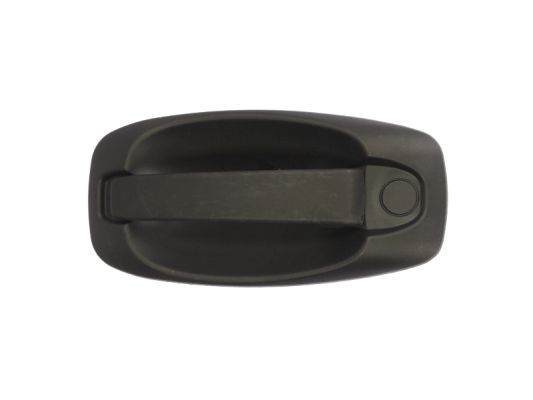BLIC 6010-07-043402P Exterior Door Handle