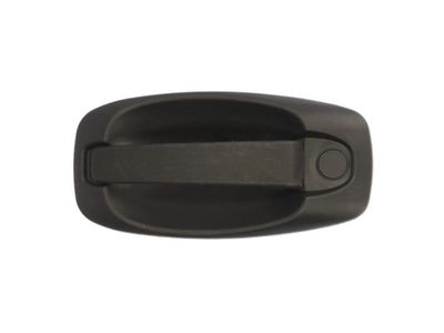 Exterior Door Handle BLIC 6010-07-043402P