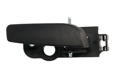 Exterior Door Handle BLIC 6010-07-043409TP