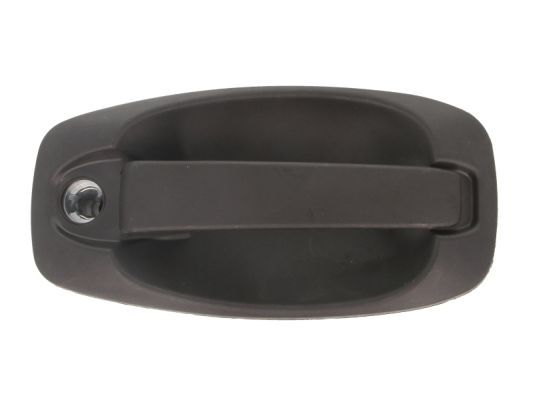 BLIC 6010-07-043417P Exterior Door Handle
