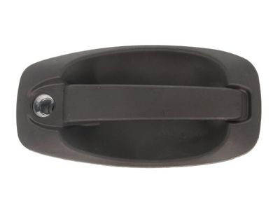 Exterior Door Handle BLIC 6010-07-043417P