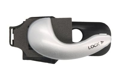 Exterior Door Handle BLIC 6010-07-048409P