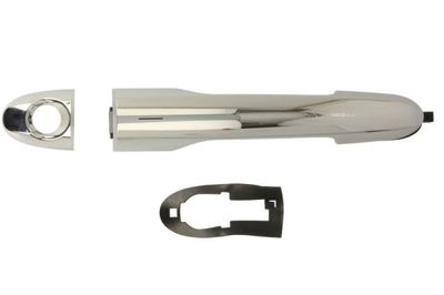 Exterior Door Handle BLIC 6010-07-050401P