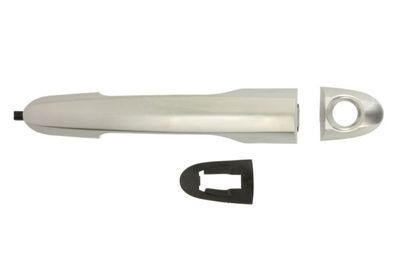 Exterior Door Handle BLIC 6010-07-050401PP