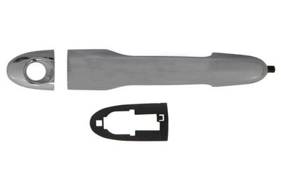 Exterior Door Handle BLIC 6010-07-050403P