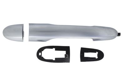 Exterior Door Handle BLIC 6010-07-050420PP