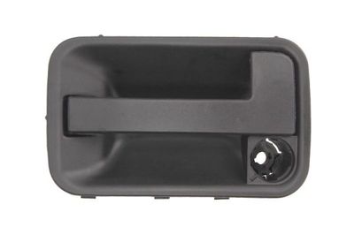 Exterior Door Handle BLIC 6010-08-002401P