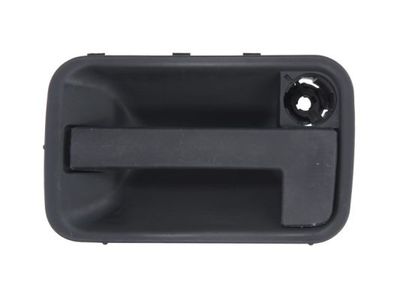 Exterior Door Handle BLIC 6010-08-002402P