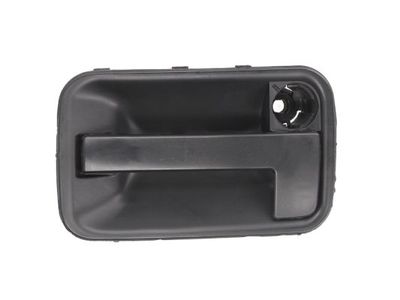 Exterior Door Handle BLIC 6010-08-002410P