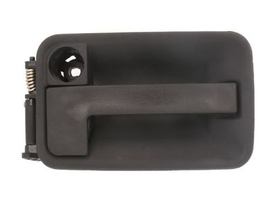 Exterior Door Handle BLIC 6010-08-002417P