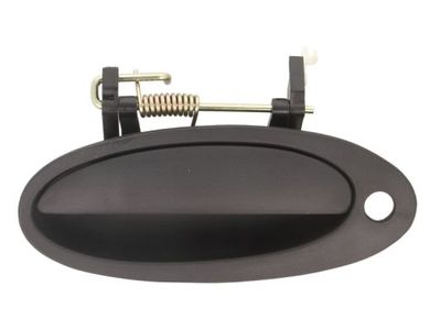 Exterior Door Handle BLIC 6010-09-003401P