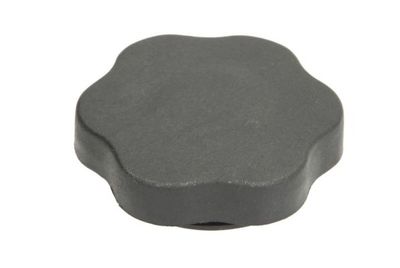 Sealing Cap, oil filler neck BLIC 6010-09-015456P