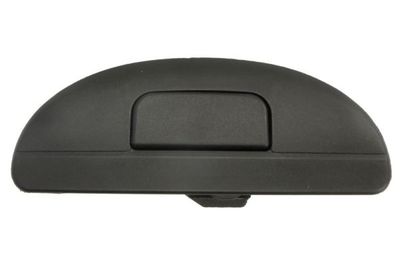 Exterior Door Handle BLIC 6010-09-025417PP