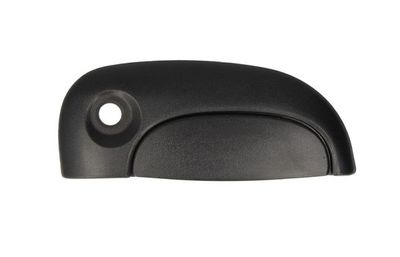Exterior Door Handle BLIC 6010-09-029402P